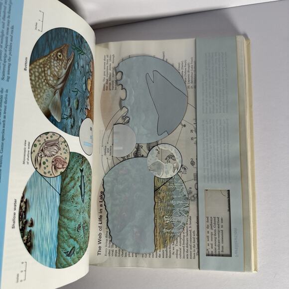 Vintage Science Year The World Book Science Annual 1971 Excellent Condition - Picture 9 of 9